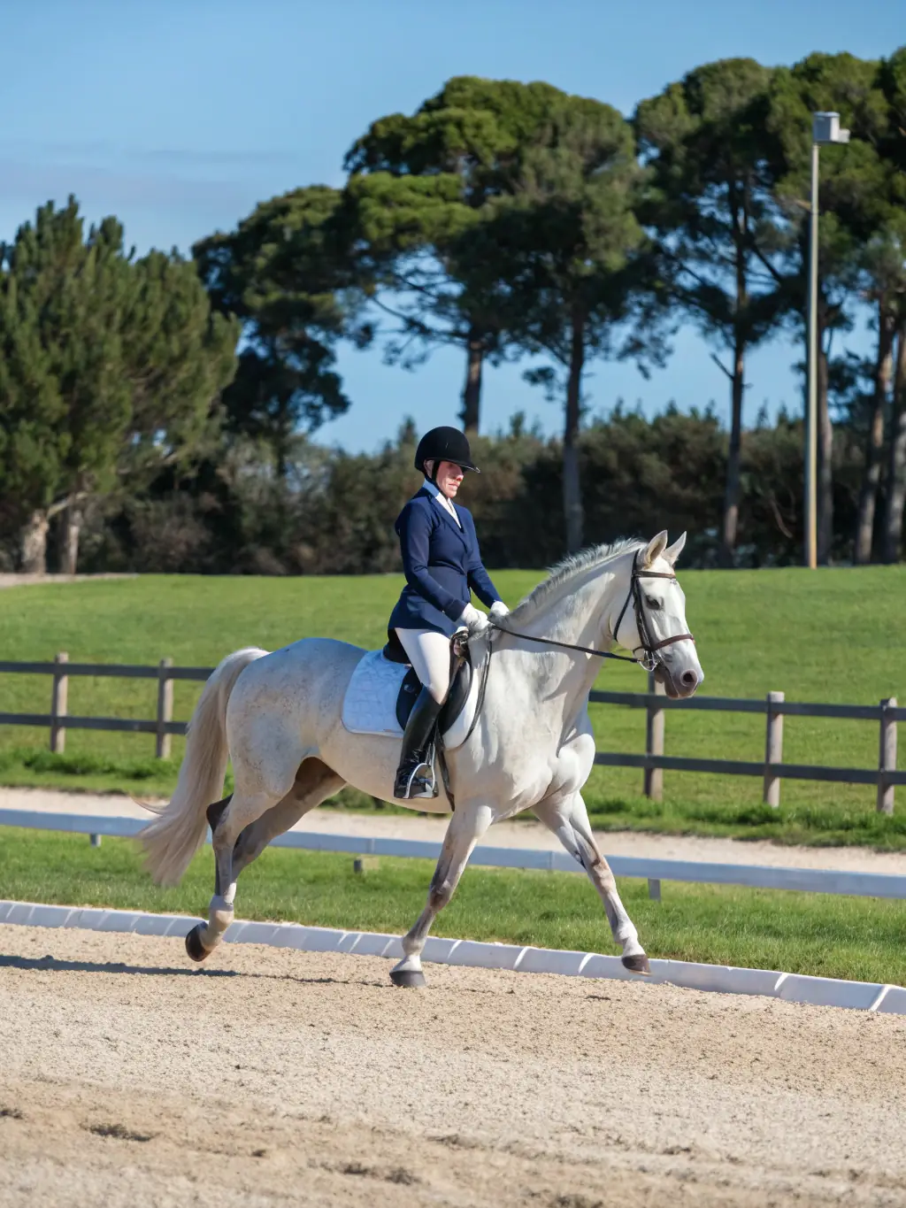 A group of experienced riders participating in a dressage clinic, focusing on precision and harmony with their horses at ASSOC LOISIRS EQUESTRES BRIVISTES.